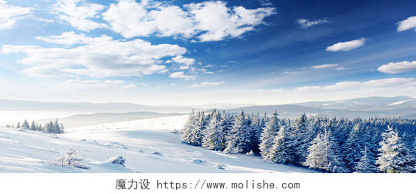冬季雪地唯美风景海报背景图
